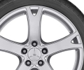 Almizar | 5-spoke wheel | 19" (RA)